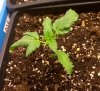IMG_20160129_190217.jpg