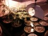 20160129_105815.jpg