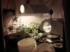 20160128_124954.jpg