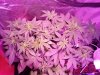 20160202_004647.jpg