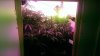 IMAG0389.jpg