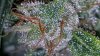 20160125_171959.jpg