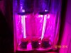 day11f.JPG