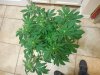 DSCN1789.JPG