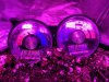 IMG_20160214_103255516.jpg