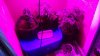 20160215_190608.jpg