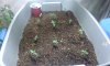 IMG_20160215_104033.jpg