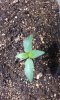 IMG_20160215_104436.jpg