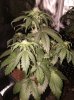 IMG_20160216_225326.jpg