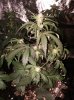 IMG_20160216_225140.jpg