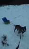 IMG_20160217_141725.jpg