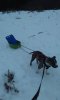 IMG_20160217_141723.jpg