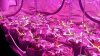 20160219_103922.jpg