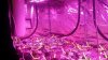 20160219_103929.jpg