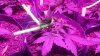20160219_103938.jpg