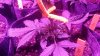 20160219_104002.jpg