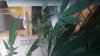 20160218_215926.jpg