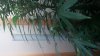 20160218_215921.jpg