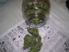 100_4513.jpg