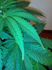 IMG_20160224_115349.jpg