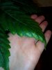 IMG_20160224_115412.jpg