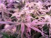 20160224_234231.jpg