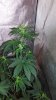 IMG_20160302_160846.jpg