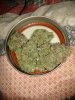 IMG_20160306_203003.jpg