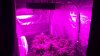 20160307_225952.jpg
