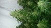 20160307_155500.jpg