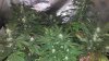 IMG_20160312_140937.jpg