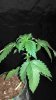IMG_20160312_140828.jpg