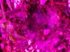 20160312_224654.jpg