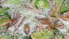 20160313_154114.jpg 20160313_154114.jpg