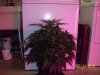 day46f.JPG