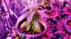 20160315_160420.jpg