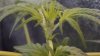 20160316_142407.jpg