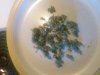 IMG_20160318_103202.jpg