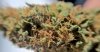 WP_20160319_12_56_43_Rich.jpg