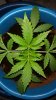 20160320_062735.jpg