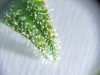20160322_120202_clr_exif.jpg