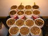 BUCKSMASH 6 DAYS OLD_4-16-12.JPG