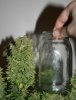 Grande Jar.jpg