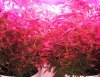 IMG_0534.jpg