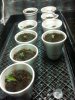 2012-04-16 13.14.49.jpg
