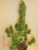 DSC00015.jpg