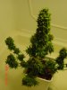 DSC00013.jpg