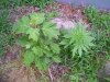 100_4573.jpg