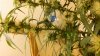 20160404_182819.jpg