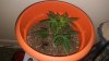 20160411_111143.jpg